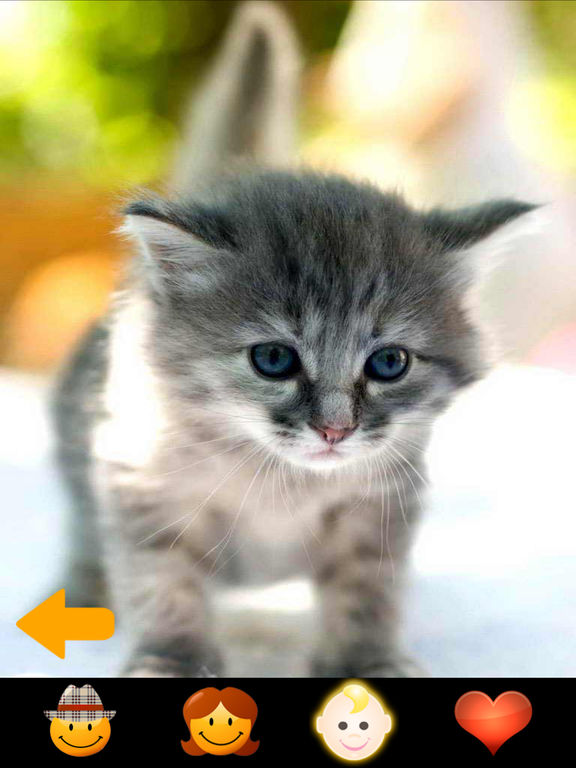 ZOOLA Animals screenshot