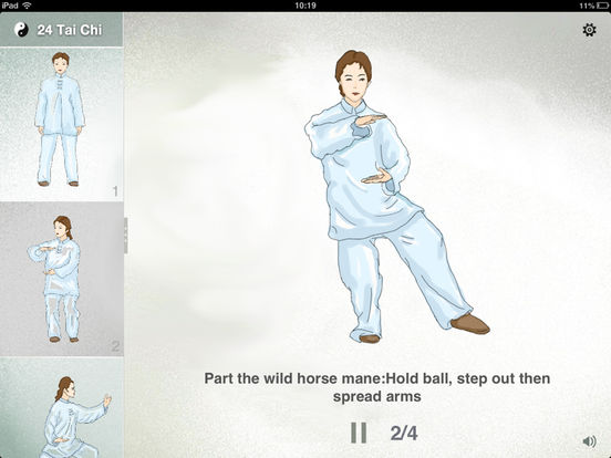 iPad Screenshot 3