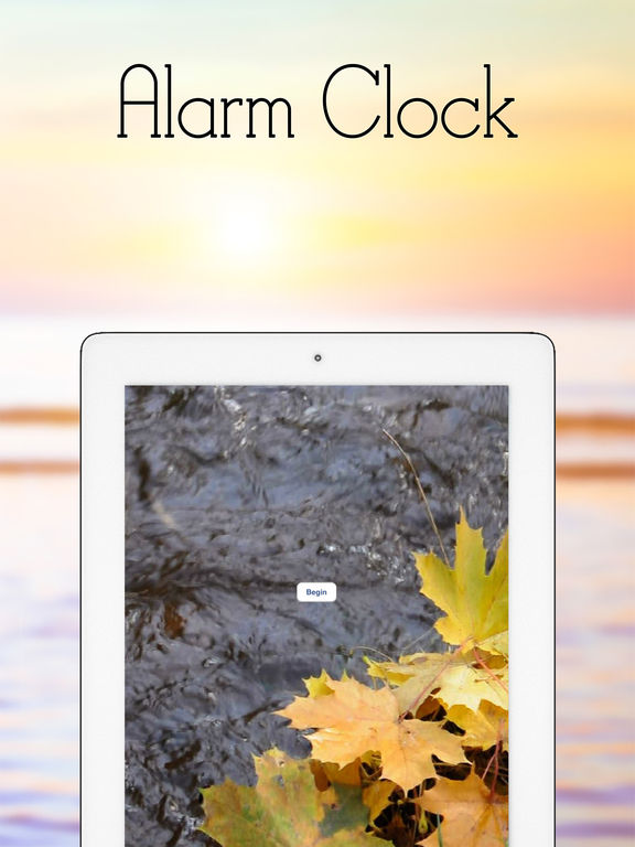 iPad Screenshot 4
