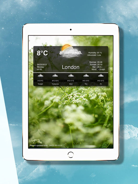 iPad Screenshot 5