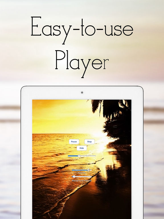 iPad Screenshot 2