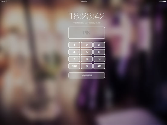 iPad Screenshot 2