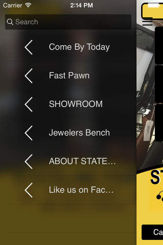 Stateline Pawn screenshot 2