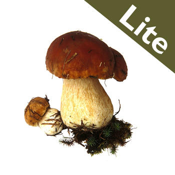 Roger's Mushrooms (Lite) LOGO-APP點子