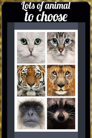 Blend Animal Face Effect Pro - Funny Lol Face Maker Image Editing App For Instagram screenshot 3