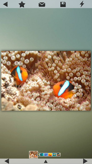 免費下載娛樂APP|Best Coral Reefs Guide app開箱文|APP開箱王