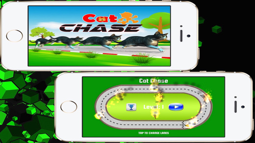 【免費遊戲App】Cat Chase Lite-APP點子