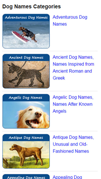 Dog Names Expert