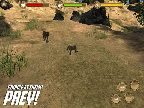 免費下載遊戲APP|Lion Cub Simulator - HD app開箱文|APP開箱王