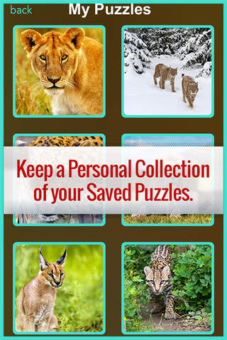 Cute Kitty Cat Jigsaws Puzzle- HD Collections for Adults & Toddlers screenshot 3
