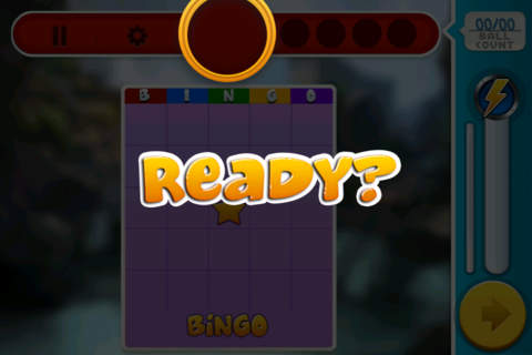 Bingo Extravaganza Ole! screenshot 3