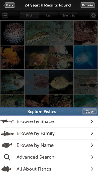 【免費書籍App】Audubon Fishes - A Field Guide to North American Fishes-APP點子