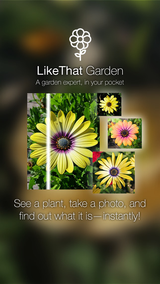 免費下載教育APP|LikeThat Garden – Flower Identification app開箱文|APP開箱王