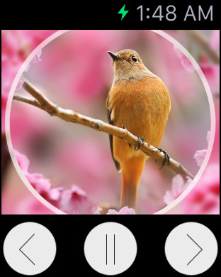 免費下載健康APP|Relax Sounds Premium: background music for meditation & sleep zen sounds, yoga and baby app開箱文|APP開箱王