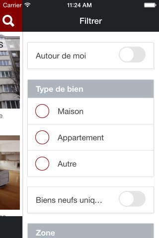 Immobilière Le LION screenshot 4