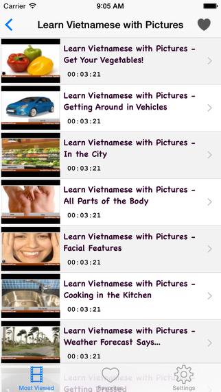 Vietnamese Course: Learn Vietnamese by Videos
