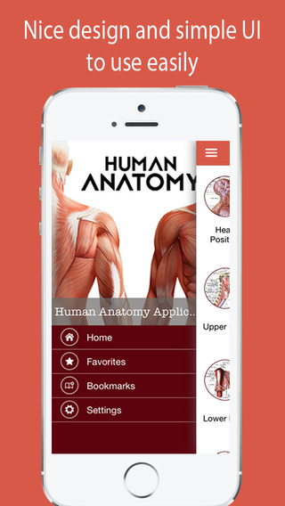 Free Visual Anatomy And Physiology