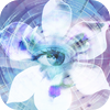 no app image