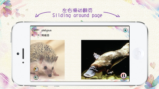 Chinese and English Vocabulary: audio and pictorial flashcards for kids