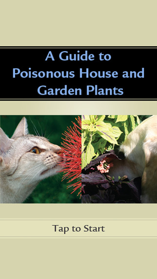 Poisonous Plants Flash Cards