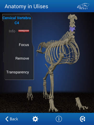 【免費醫療App】Osteology in Dogs (Licensed Version)-APP點子