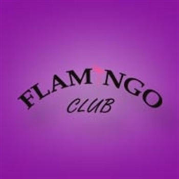 Flamingo Club LOGO-APP點子