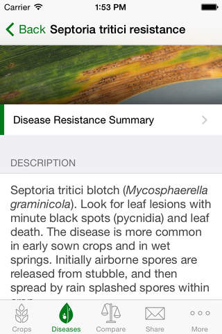 Crop Disease Au screenshot 3