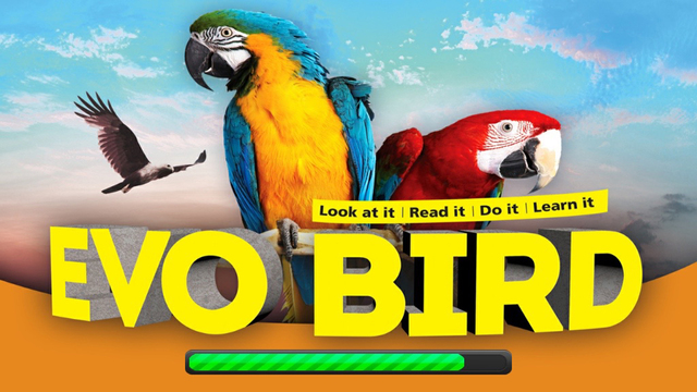 EVO BIRD - Augmented Reality