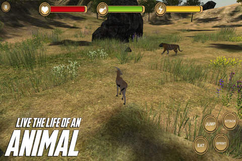 Gazelle Simulator - HD screenshot 3