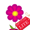 no app image