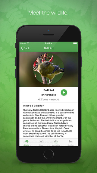 免費下載教育APP|Wildlife of New Zealand app開箱文|APP開箱王