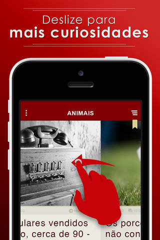 Animais - Curiosidades sobre o mundo animal screenshot 4