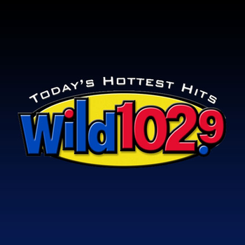 Wild 102.9 LOGO-APP點子