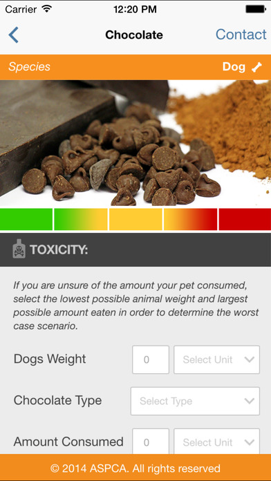 iPhone Screenshot 3