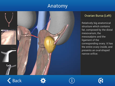 免費下載醫療APP|Ovariectomy in Dogs (Free Version) app開箱文|APP開箱王