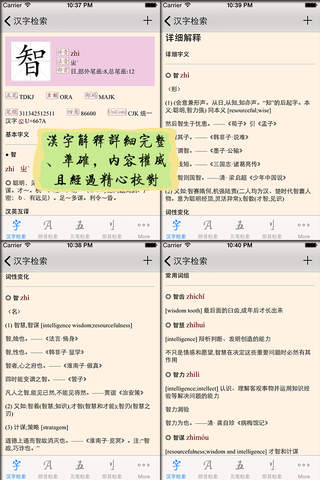 汉语字典专业版 screenshot 3