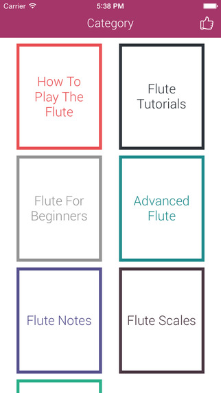 Flute Guide Pro - Step By Step Video Guide