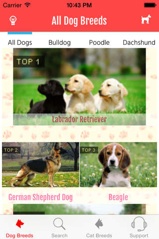 Dog & Cat - Breed screenshot 2