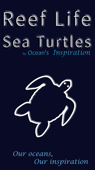 Sea Turtles by Reef Life