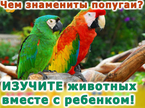 Животные для детей! Развивающие игры для малышей. Детская игра развивалка: детский сад (малыш, ребенок, мальчик, девочка 2, 3, 4 года) Животные для детей! Развивающие игры для малышей. Детская игра развивалка: детский сад (малыш, ребенок, мальчик, девочка 2, 3, 4 года)