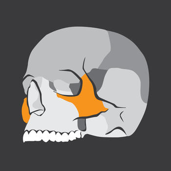 Skull Osteology LOGO-APP點子