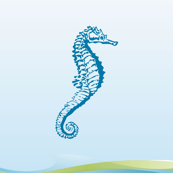 Seahorse Dilution Calculator LOGO-APP點子