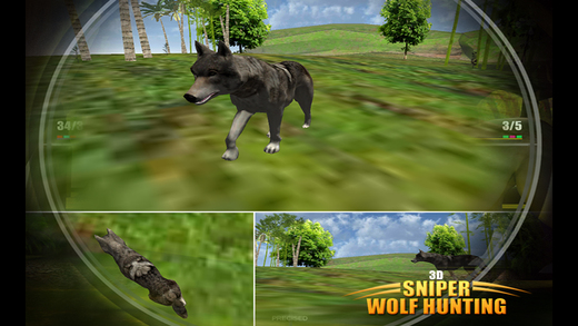 Angry Wolf Attack : Sniper shooter and hunting game in the jungle