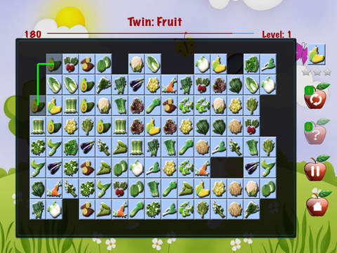 Picachu: Twin Noel, Candy, Animal, Fruit - memo brain to match same classic pet cards screenshot 2