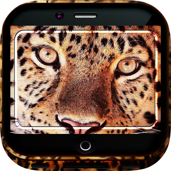 Animal Skins Gallery HD –  Leather Retina Wallpapers , Themes and Backgrounds 工具 App LOGO-APP開箱王