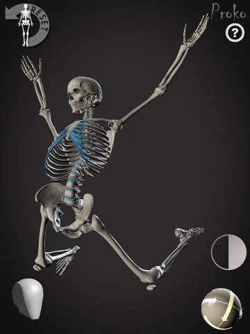 【免費教育App】Skelly - Poseable Anatomy Model for Artists-APP點子