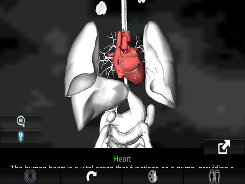 【免費教育App】ORGANS 3D (ANATOMY)-APP點子