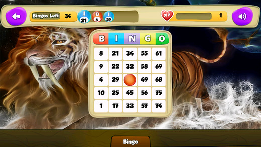 免費下載娛樂APP|Bingo Wildlife™ app開箱文|APP開箱王