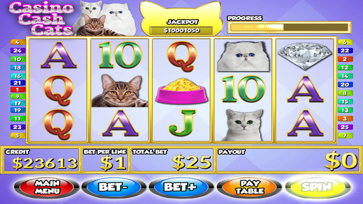 Casino Cash Cats