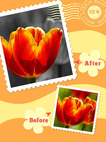 【免費書籍App】Color Magic - Insta Photo Splash Effects &Recolor Camera, Pic PS Editor-APP點子